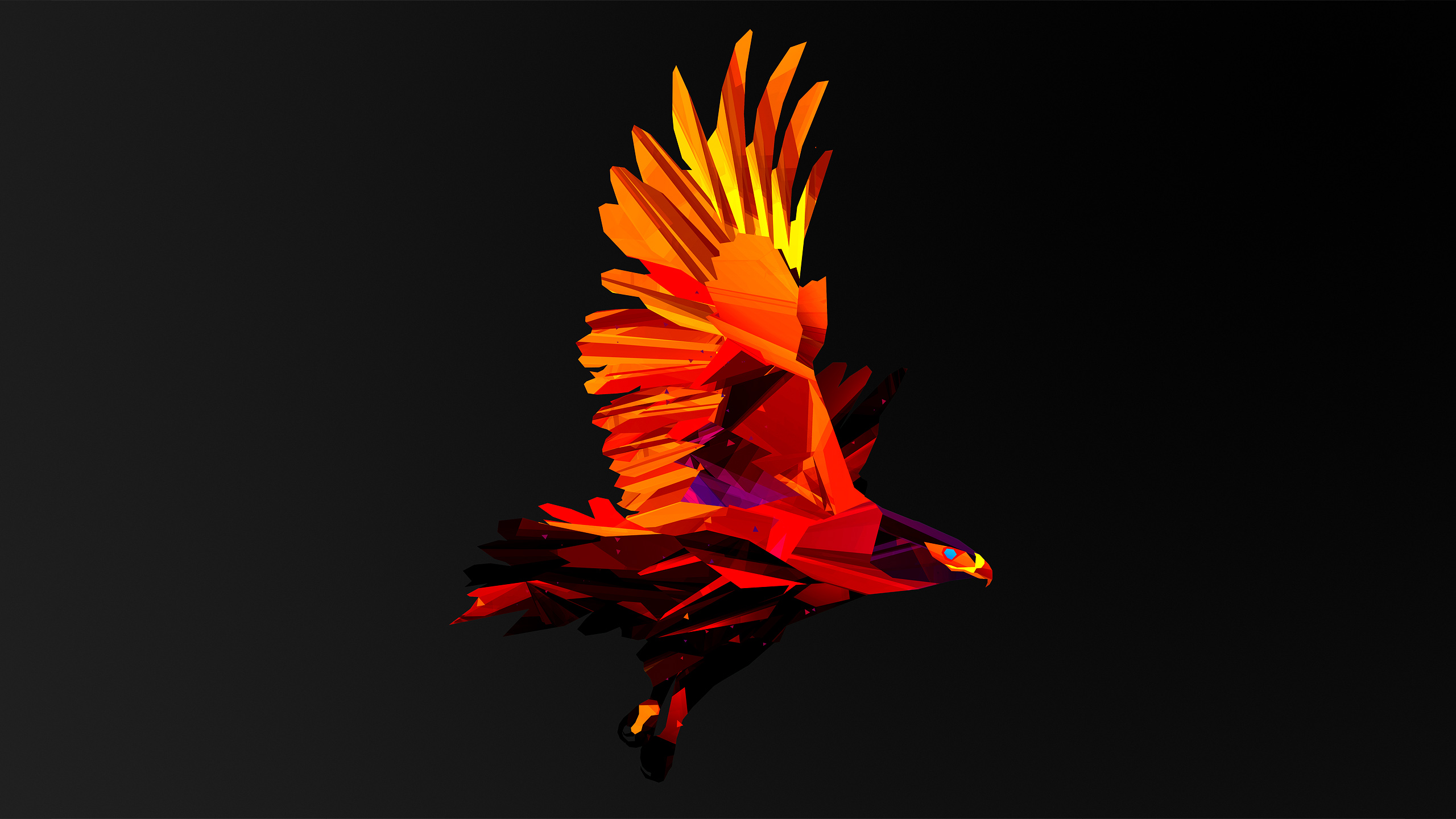 Aquila